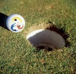 Golf Ball and Hole - Photo : NSIC Collection 